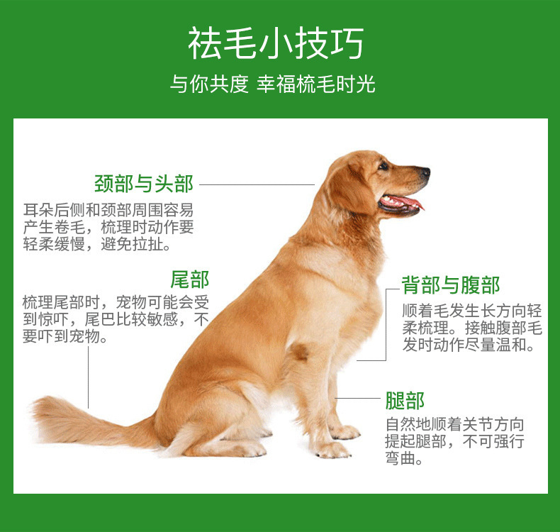 7274720a-5efa-40f1-834b-e7f5788214a5.jpe