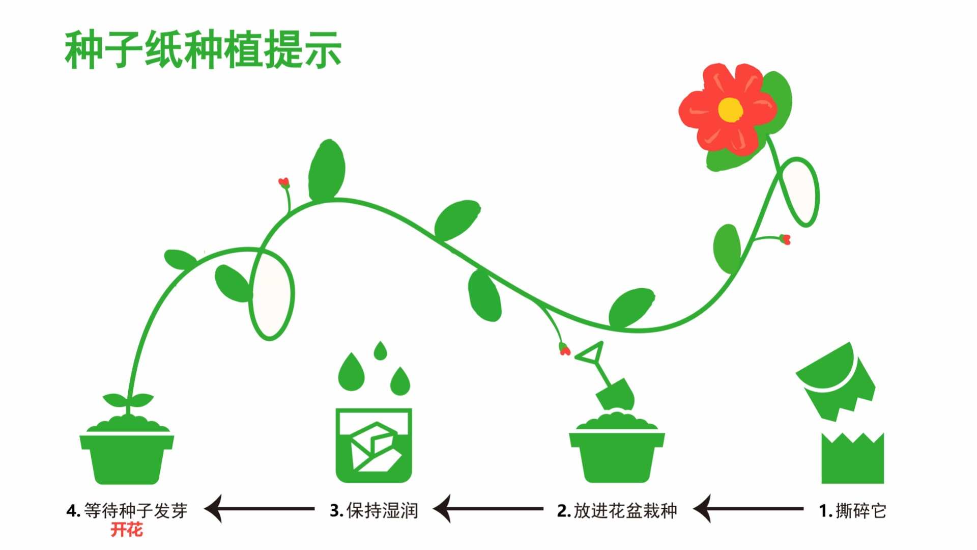 种子纸花朵0907_副本