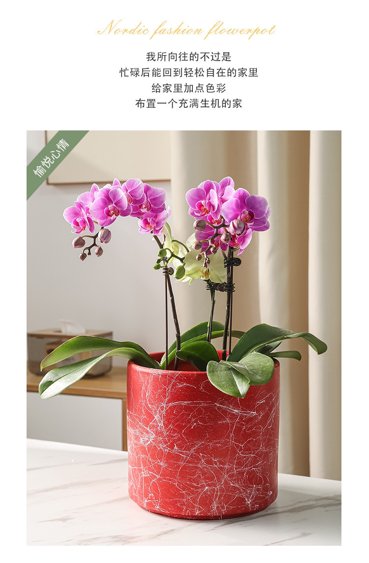 7c0beb96-d349-490e-8e2e-ba0308ec3987.jpe