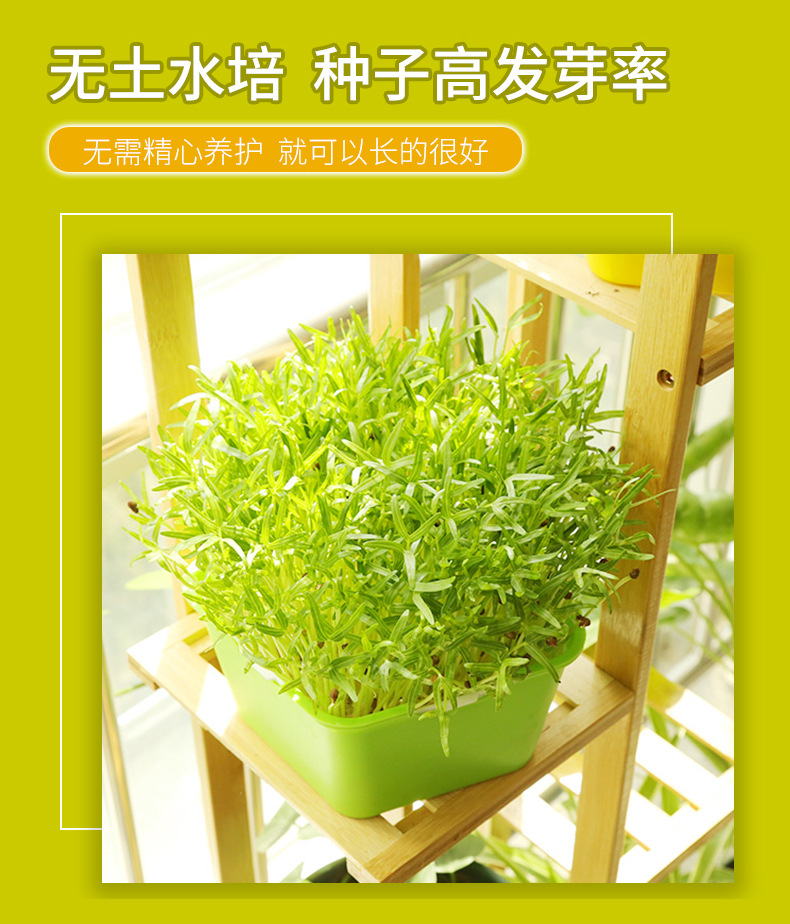 豆芽详情页_04.jpg?x-oss-process=image/format,png