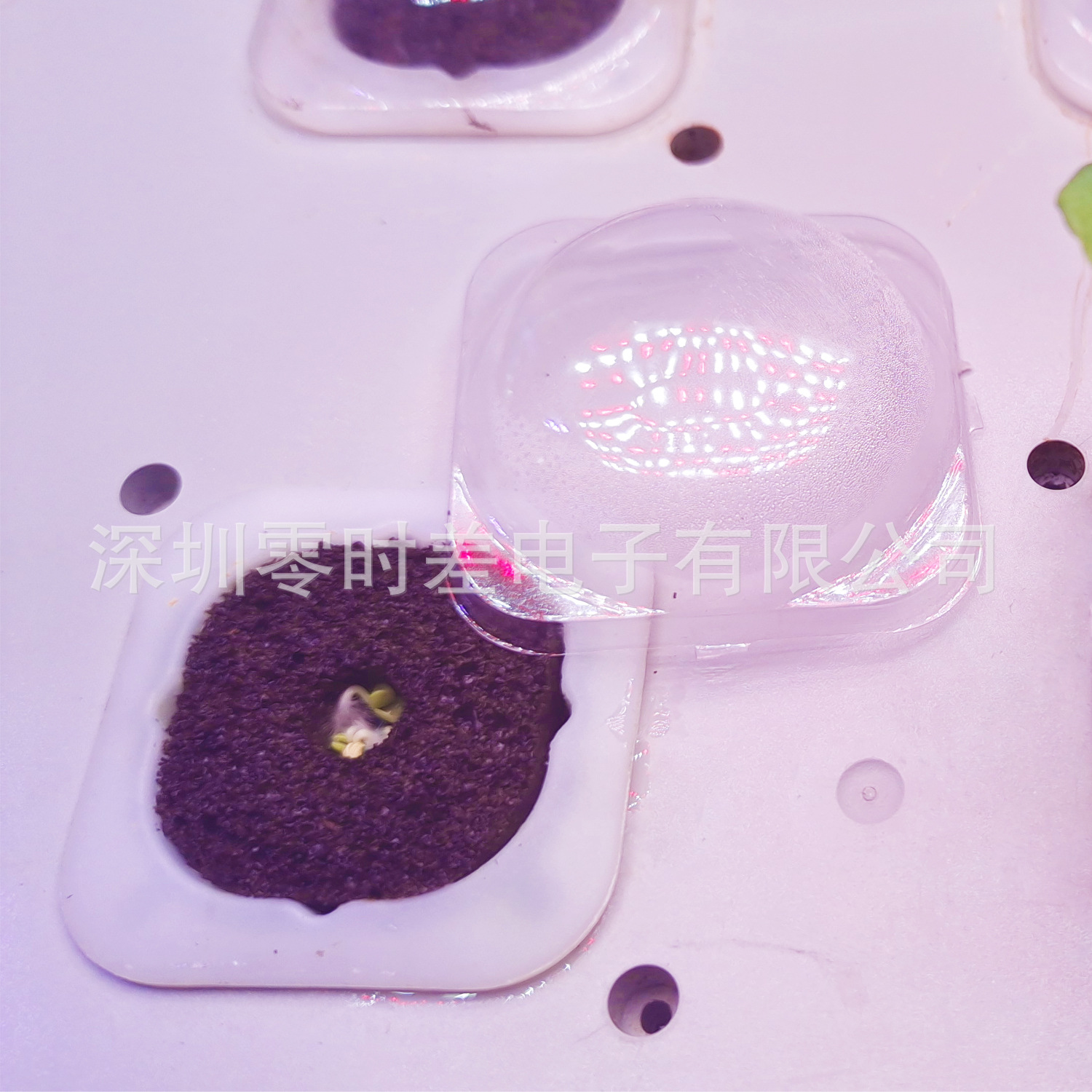 IGS 标准方形发芽罩