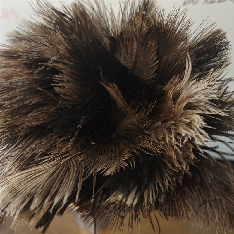 微信图片_20250410135015_800