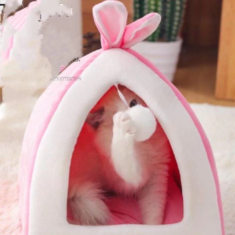 45c3fc646ac8dab5d85d845e58032e