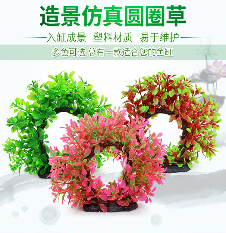 仿真圆圈草_01.jpg