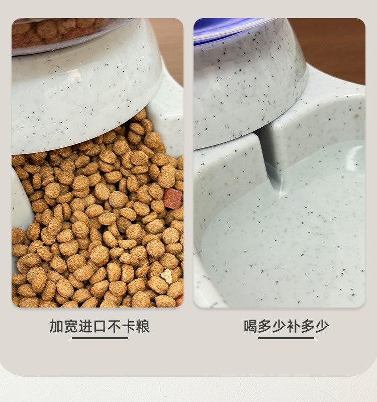 4354221a-8465-46ca-b75b-50a999187d1b.jpe