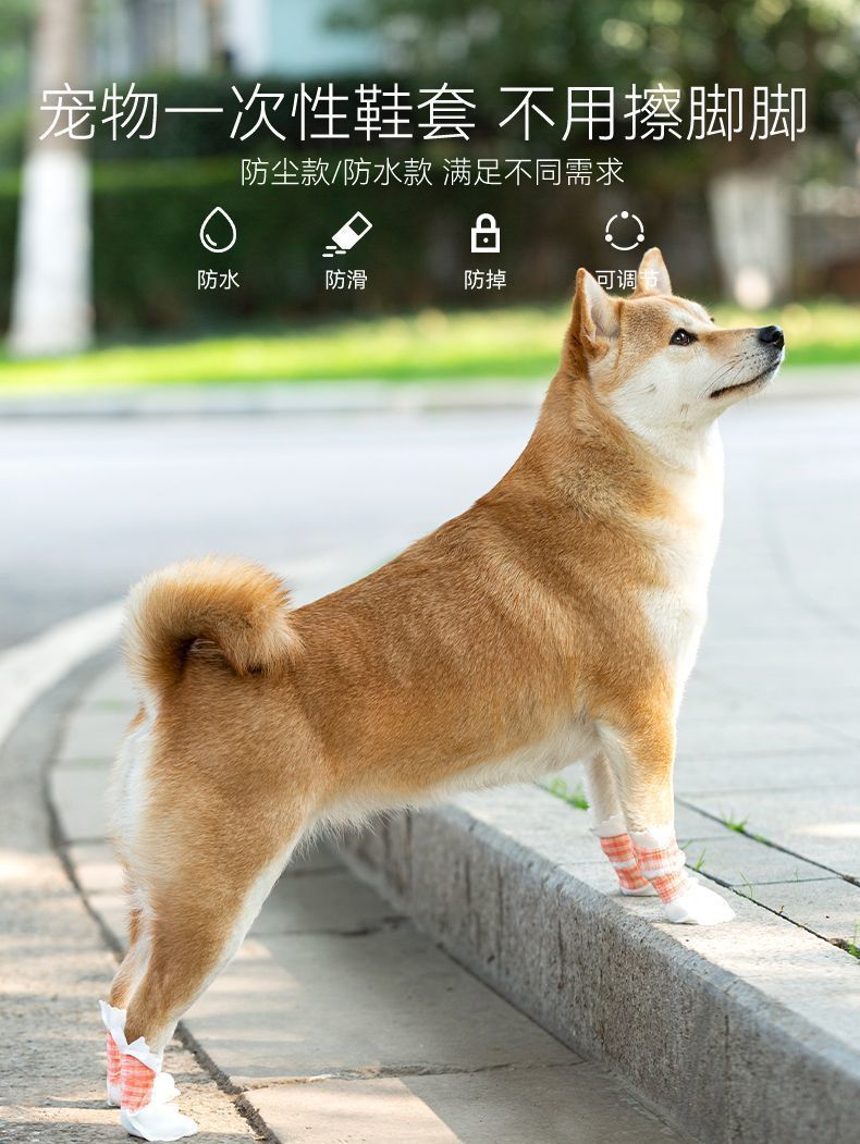 c3428cb4-b5f4-4956-b3fe-8e61feb3e0ff.jpe