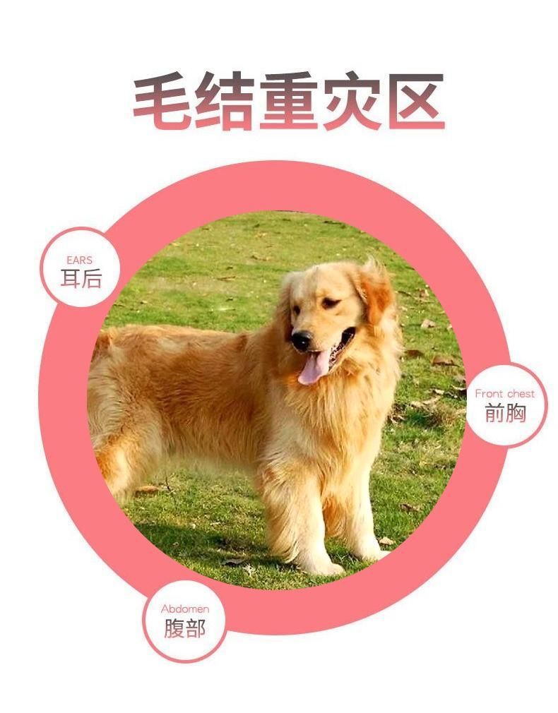 30eeb9f1-6c8d-417f-a6c5-b4cbad535697.jpe