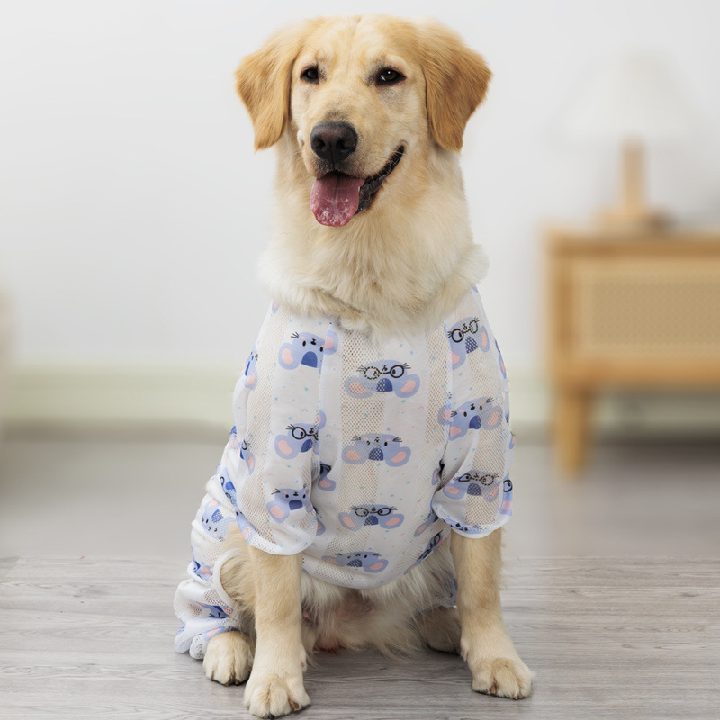 476b28ce-5ce3-4f22-b6d7-8bb1056310b2.jpe