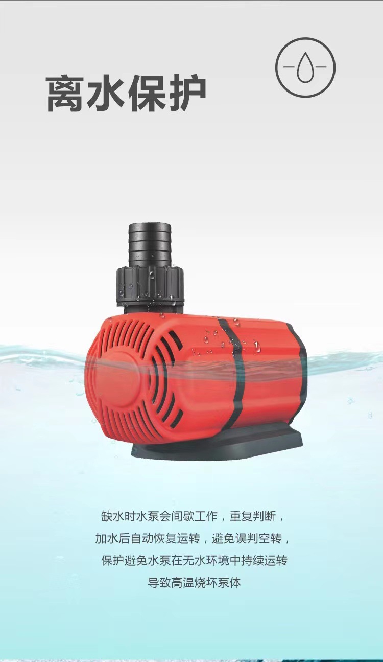 详情9.jpg