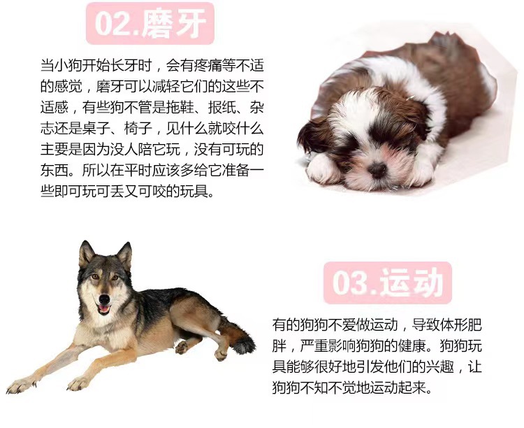 狗狗啃咬玩具