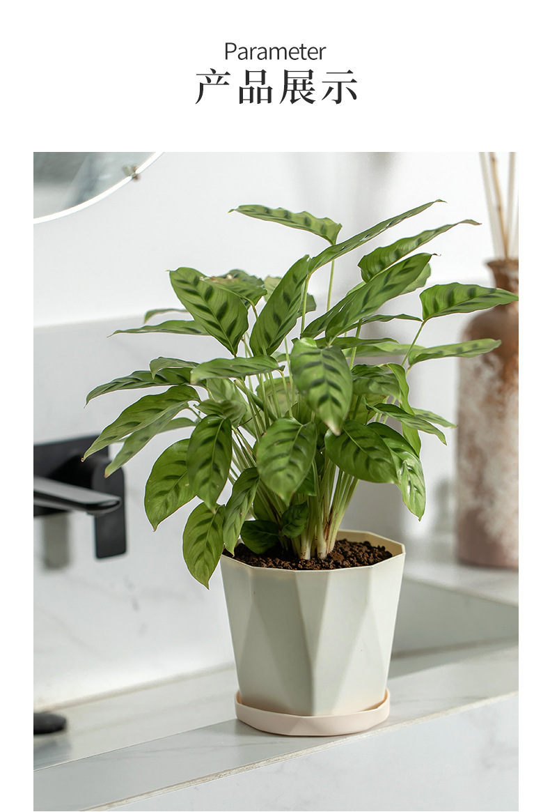 O1CN01m4n9b21wyFzY2KEGA_!!2209