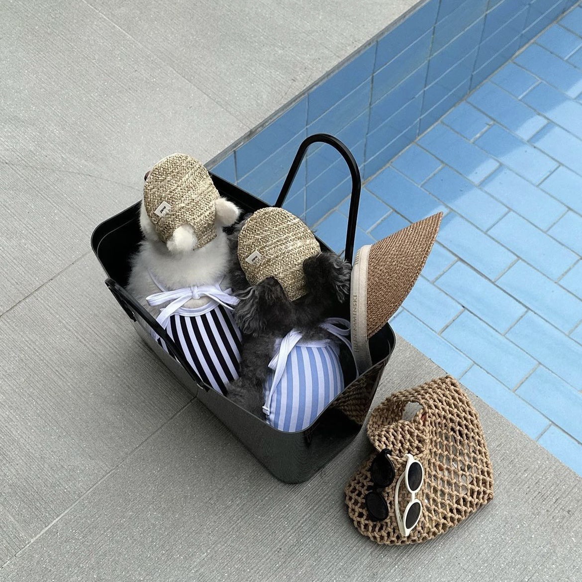 微信图片_20230518162401