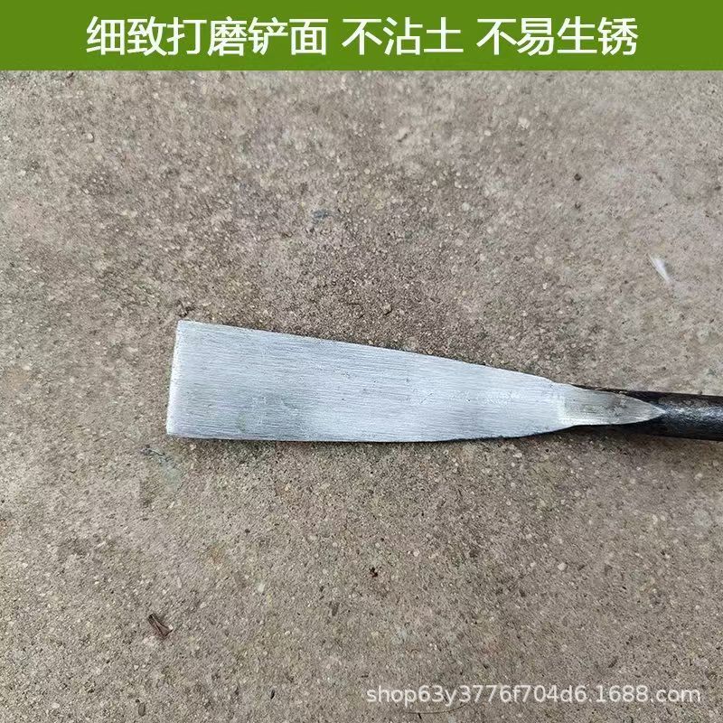 微信图片_202504091045251.jpg