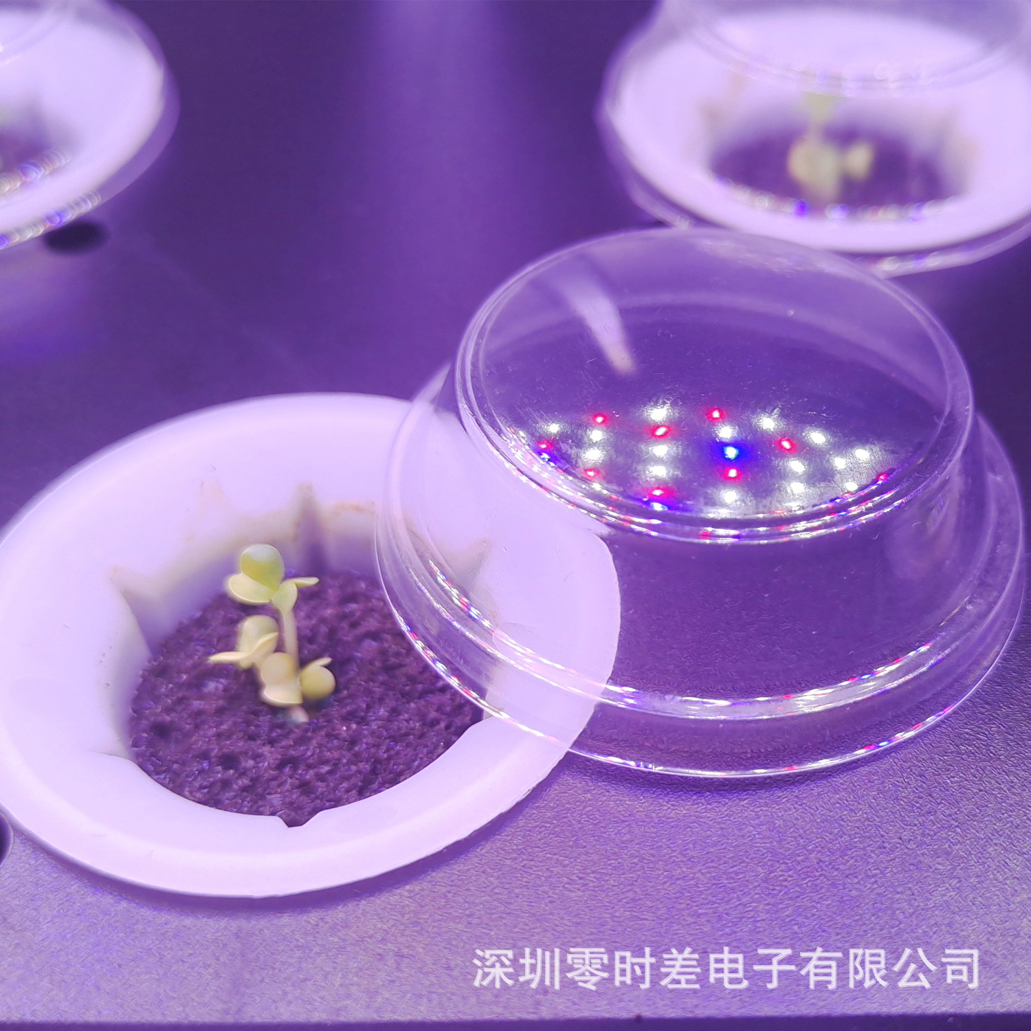 IGS圆形发芽罩