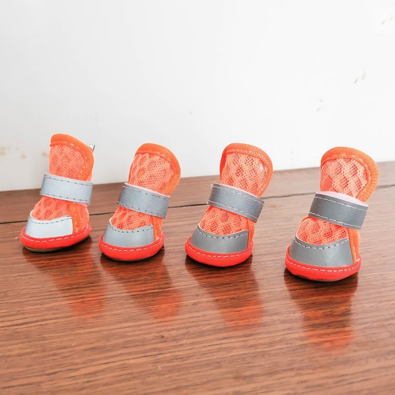 5cccb4db-2d74-42a5-8a5d-dd5f0a91256b.jpe