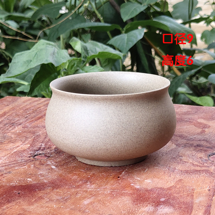 微信图片_20200627205451