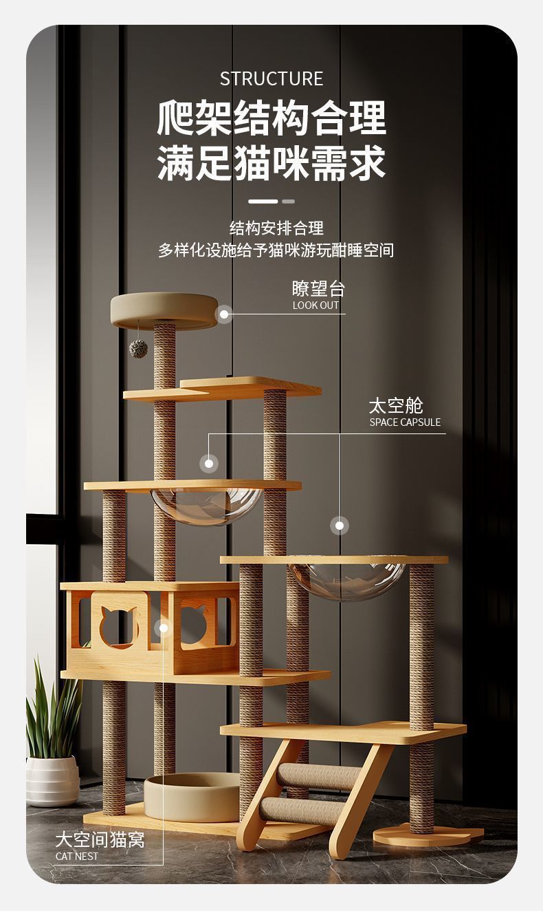 801e4fbb-0d9c-4569-993a-cf69c3a2b41b.jpe