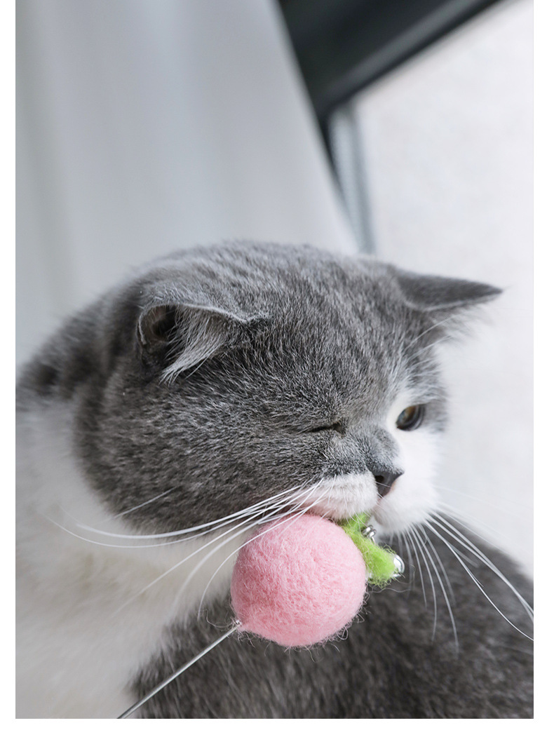 T060-兔子屁桃逗猫棒_12.jpg