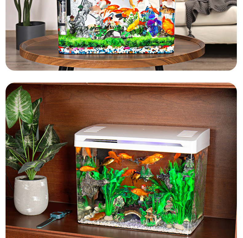 86ee45db-c485-45f2-ae1a-90bb7e21fb71.jpe