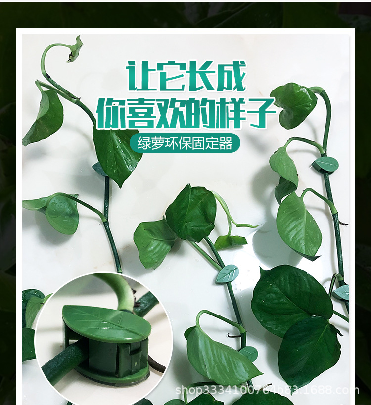 绿萝固定器1_05.jpg