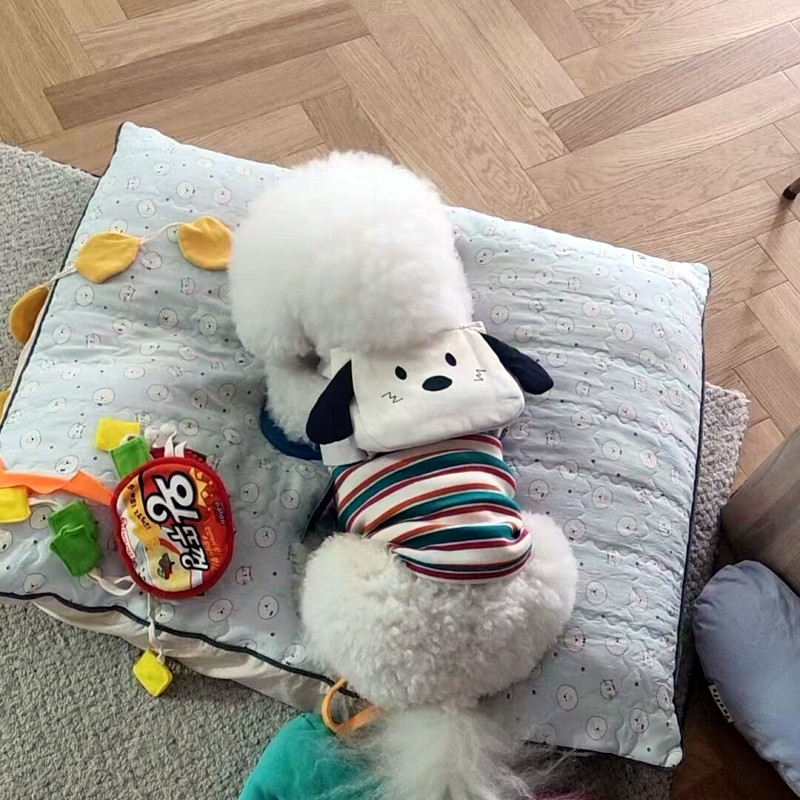 QQ图片20230524103956