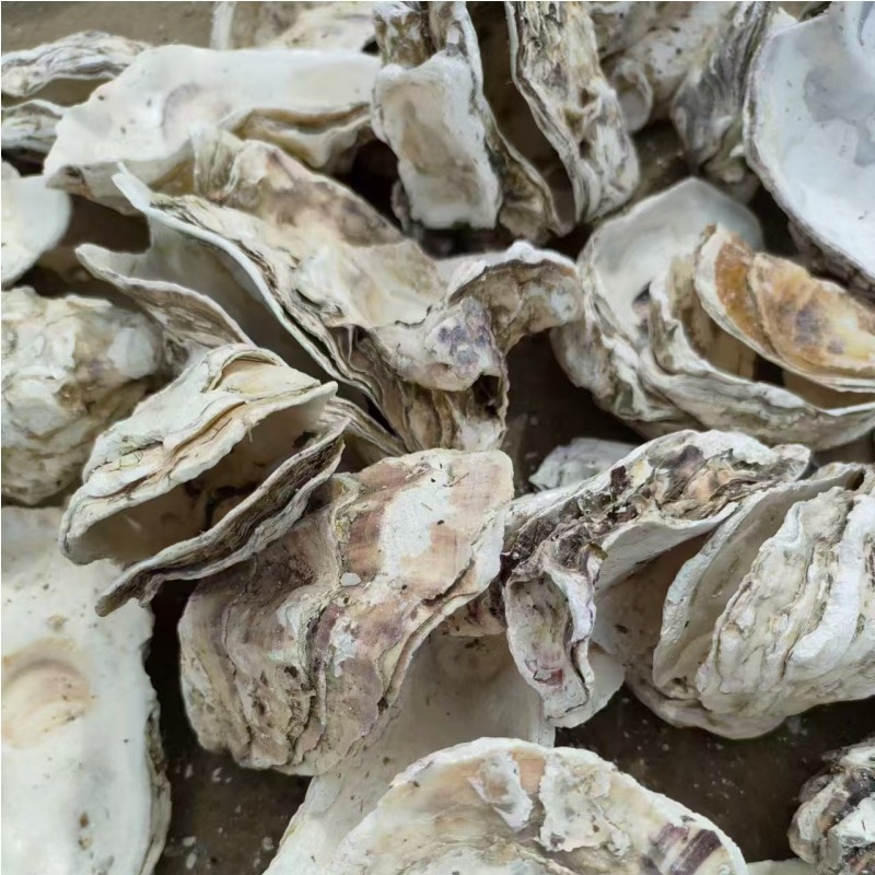 832eaf08dd8c4fee6ff9376f33f063