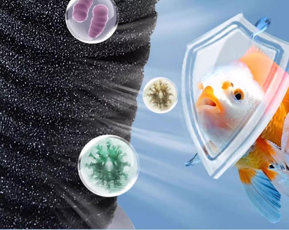 53207c4b-d114-44cd-afa1-2944872ef165.jpe