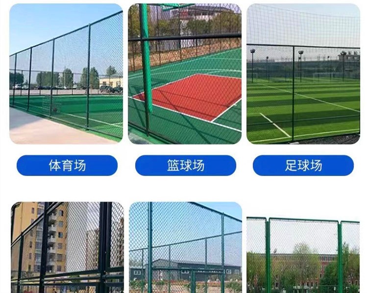 微信图片_20250628143742_副本