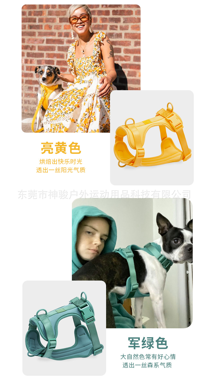 神骏马卡龙色系狗狗胸背带2022.11_12