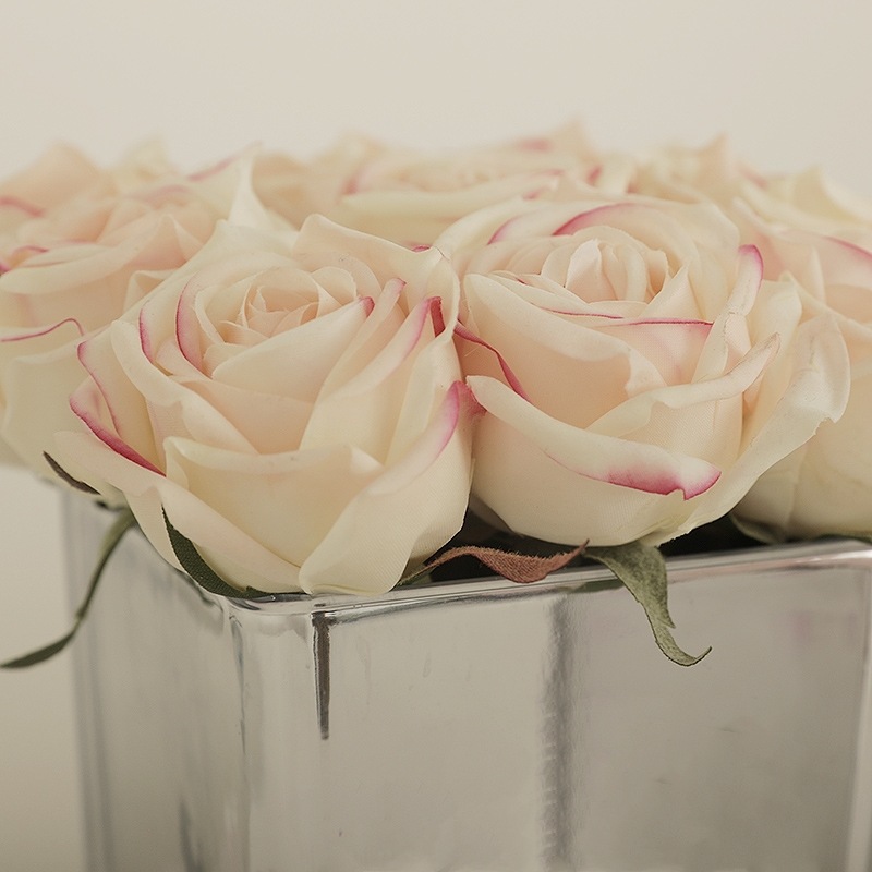 tb_image_share_1635886444246_m