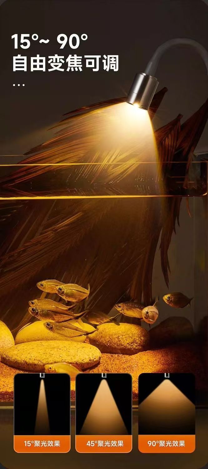 271374fc-43b4-4af1-8934-40ed04c5de9a.jpe