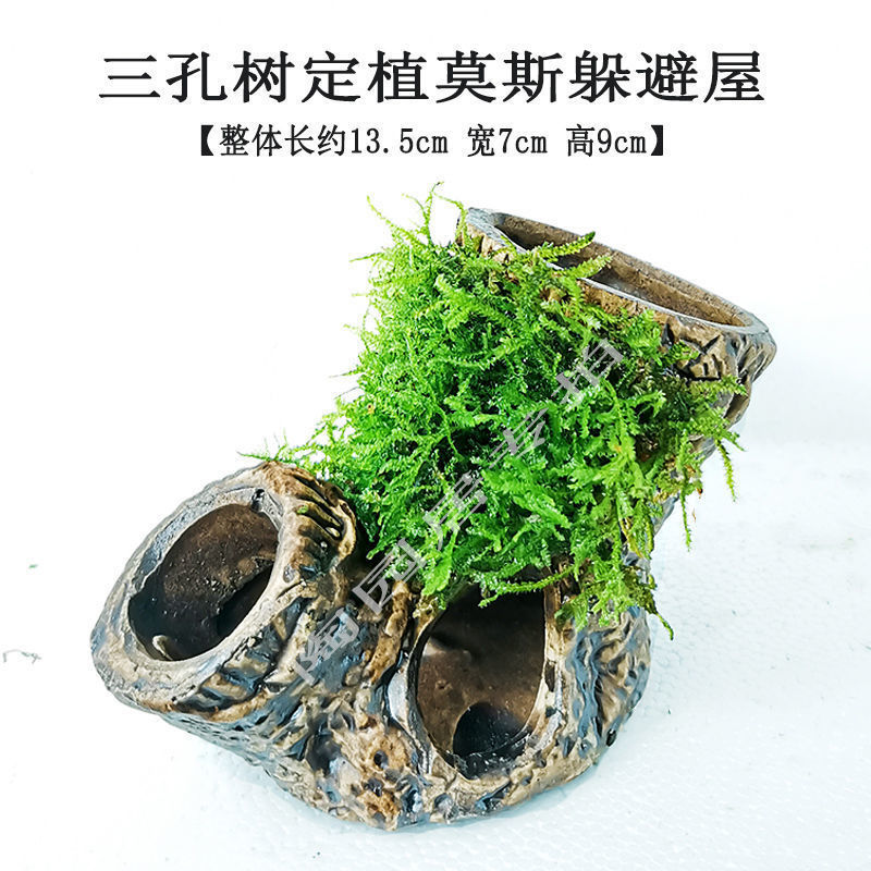 6f6b3b44-f589-4c6c-b90b-acbe8d8b4b91.jpe