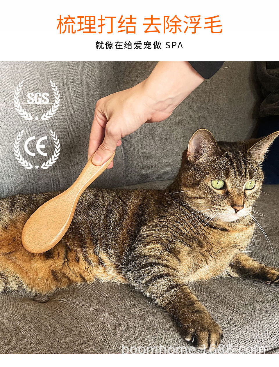 猪鬃毛梳刷_04.jpg