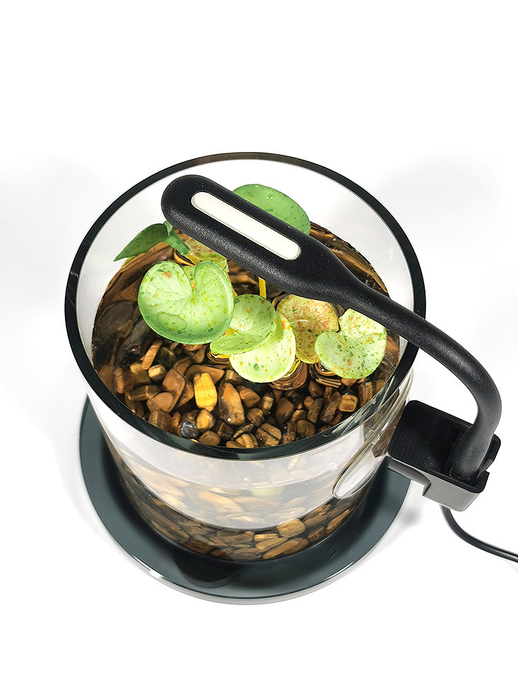 062dc10b-7647-4bef-88bc-f589c67d517a.jpe