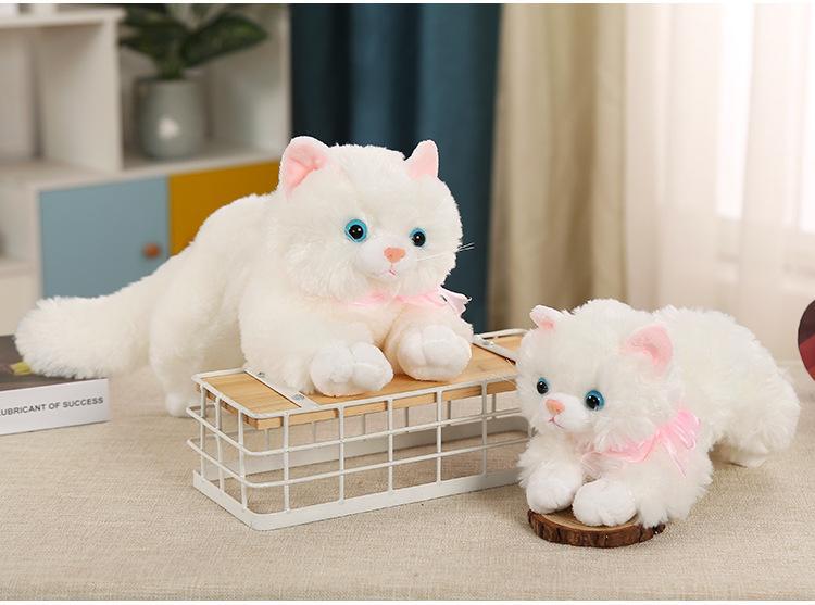 猫猫_17.jpg