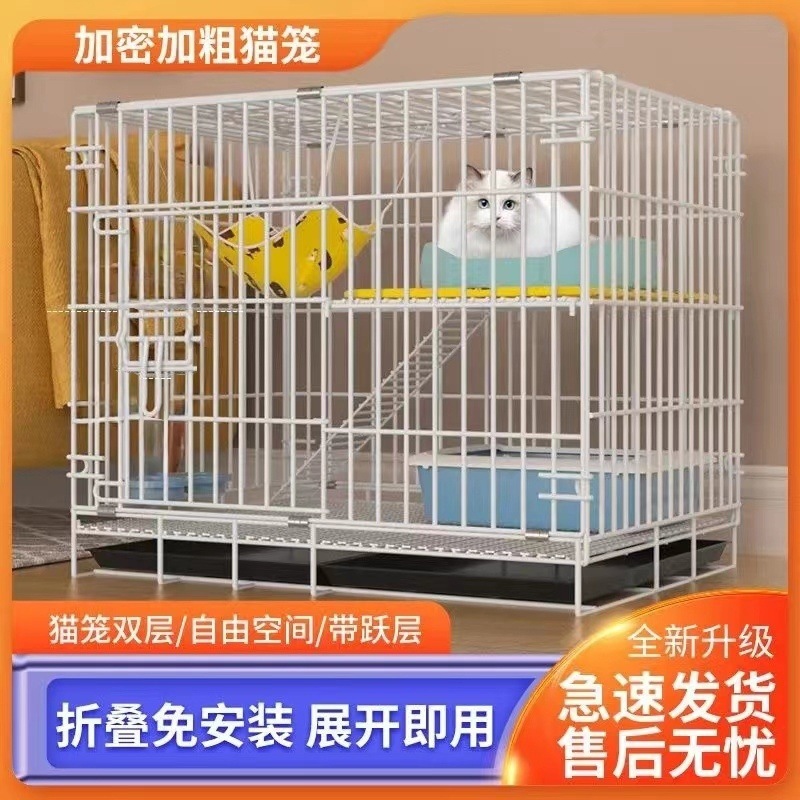 c949a117-76aa-46cd-9eae-6f60a7f9ce01.jpe