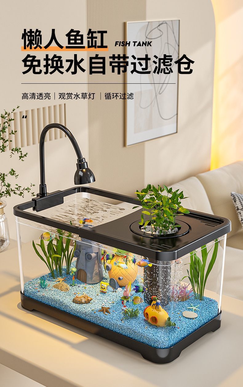 8e134b77-4d95-467f-9f0c-246f3d86d6d9.jpe