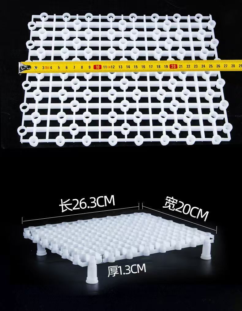 752a7251-c6ad-4901-9672-18bd66fdc0be.jpe