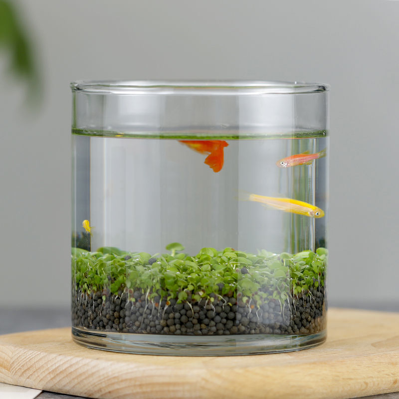 e502e827-14ce-40fe-90fe-252288725ec2.jpe