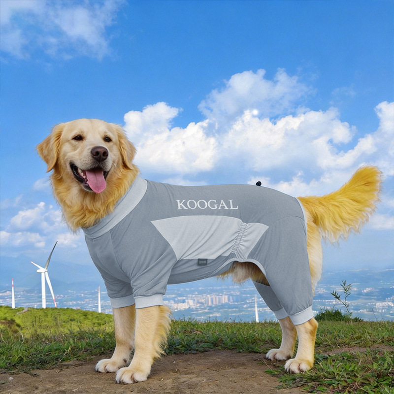 134d972fa717a266bfd10a6eca6969