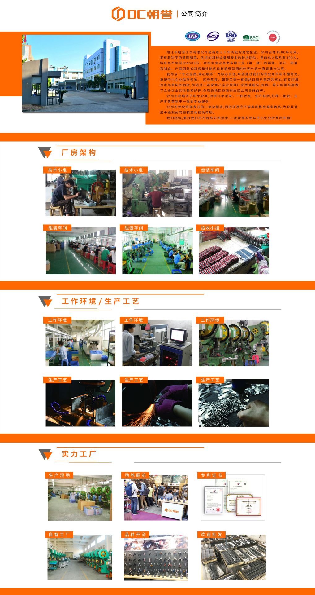 公司简介-中文(1)