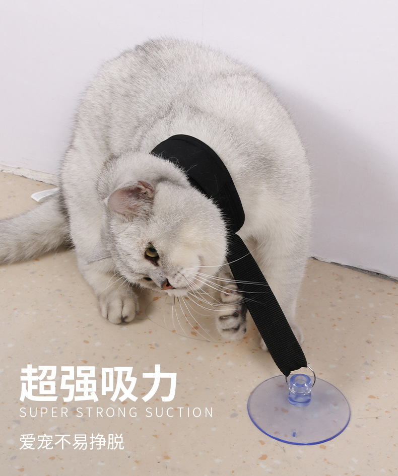 宠物吸盘项圈7.jpg