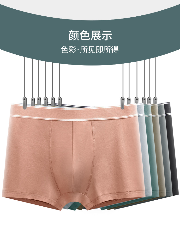 男内裤_14.jpg