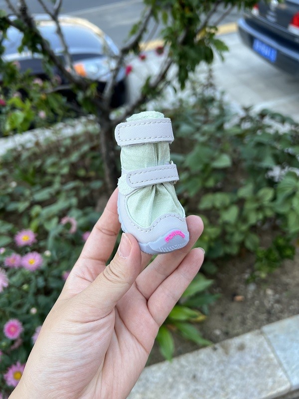 O1CN01B0Ec9m1ziB2PUoutr_!!2655