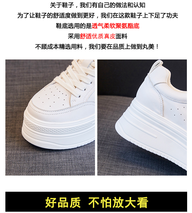 模板2_08.jpg