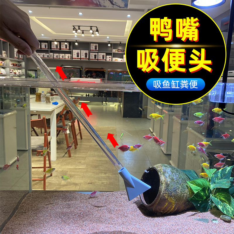 c4d26675-d733-491a-8c12-eda0e6c0d8d5.jpe