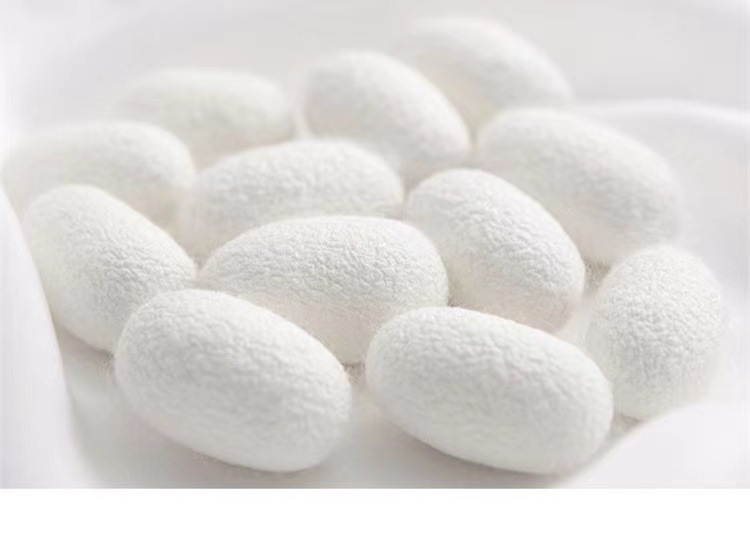 微信图片_20230824120033