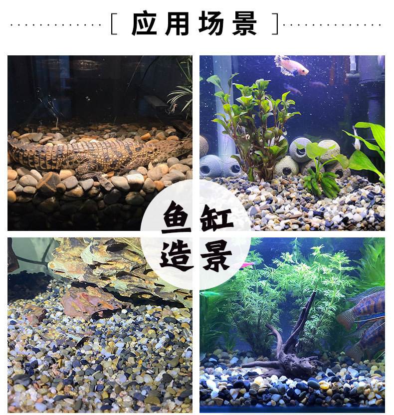 豆石 (2)