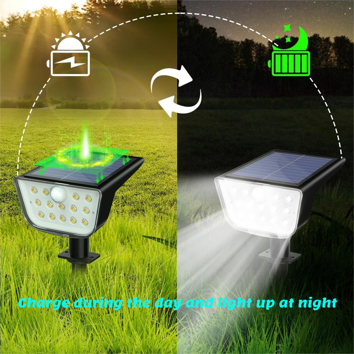 09a93158efeaafd07a9752bb0820ee