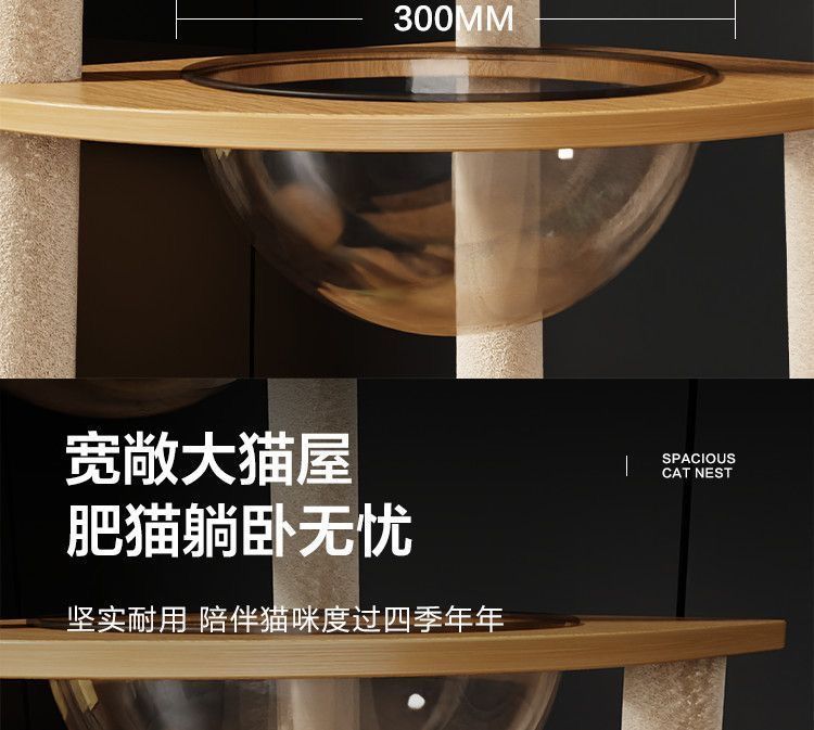 28f2af7f-78b2-4f2d-a982-c22a4e353b99.jpe